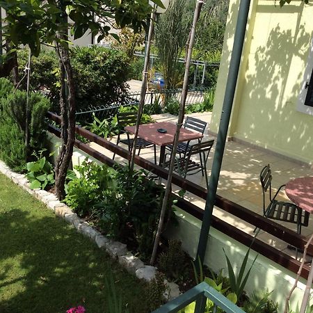 Apartments Simo Petrovac Kültér fotó