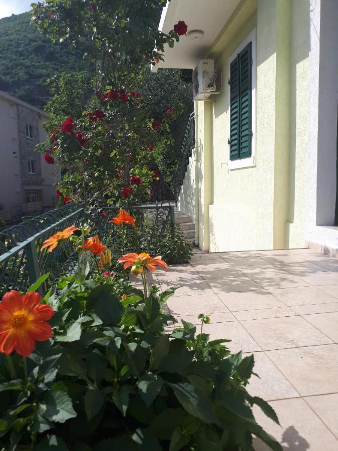 Apartments Simo Petrovac Kültér fotó