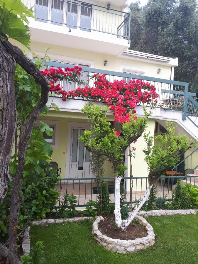 Apartments Simo Petrovac Kültér fotó