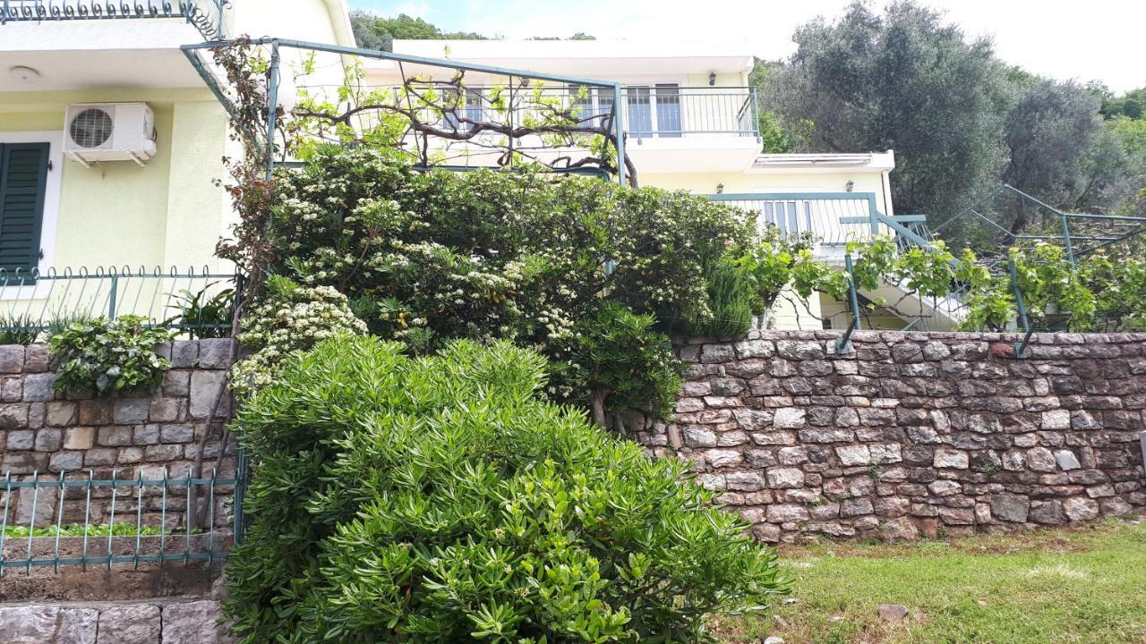 Apartments Simo Petrovac Kültér fotó